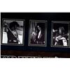 Image 8 : Lynyrd Skynyrd signed guitar