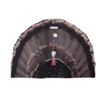 Image 1 : Turkey Fan Turkey Decoy