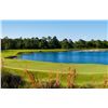 Image 1 : South Carolina Golf Package for 4