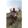 Image 1 : 5-Day Wyoming Deer/Pronghorn Combo Hunt for 1
