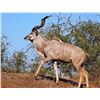 Image 2 : 10-Day African Safari for 4 - includes 4 animals!