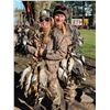 Image 9 : Duck/Dove in Argentina or Golden Dorado/Dove in Uruguay
