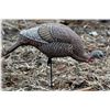 Dakota Decoy Feeder Hen Decoy