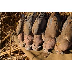2-Man 5-Day Dove Hunt in Argentina or Uruguay