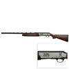 Image 2 : Hawaii Box Call