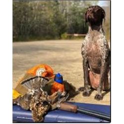 Michigan Ruffed Grouse/Woodcock Hunt