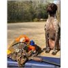 Image 1 : Michigan Ruffed Grouse/Woodcock Hunt