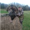 Image 1 : 2 half-day Maine Turkey Hunt for One Hunter