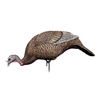 Image 1 : Dakota Decoy Feeder Hen Decoy