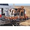 Image 2 : 11th Annual Kansas Governor’s Ringneck Classic