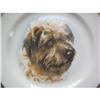 Image 1 : PICKARD CHINA HAND PAINTED TERRIER #1232334