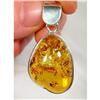 Image 1 : Moments Frozen in Time BALTIC Amber  Sterling #1232709