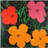 Image 1 : HUGE ANDY WARHOL FLOWERS RARE OFFICIAL #1246277