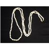 Image 1 : Milk Glass Beaded Super Long Necklace #1250120