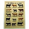Image 1 : Deyrolle   Les Animaux De La Ferme-les Vaches #1268059