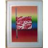 Image 1 : Rosenquist   Horizon bar #1268110