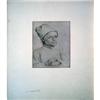 Image 1 : Durer   Portrait of a noble #1268213