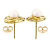 Image 3 : 14kt Yellow Gold 6.6mm Round Pearl Open Stud Earrings