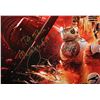 Image 4 : STAR WARS: THE FORCE AWAKENS (2015) - Cast Autographed Poster