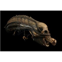 ALIEN (1979) - H.R. Giger-designed Special Effects Mechanical Alien Head