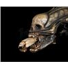 Image 23 : ALIEN (1979) - H.R. Giger-designed Special Effects Mechanical Alien Head