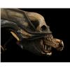 Image 2 : ALIEN (1979) - H.R. Giger-designed Special Effects Mechanical Alien Head