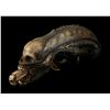 Image 3 : ALIEN (1979) - H.R. Giger-designed Special Effects Mechanical Alien Head