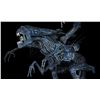 Image 17 : ALIENS (1986) - Full-size Promotional Alien Queen