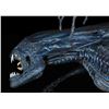 Image 23 : ALIENS (1986) - Full-size Promotional Alien Queen