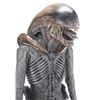 Image 9 : ALIEN3 (1992) - Xenomorph Warrior Complete Costume Display