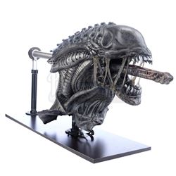 ALIENS VS. PREDATOR: REQUIEM (2007) - Xenomorph Warrior Insert Head with Display Stand