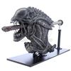 Image 3 : ALIENS VS. PREDATOR: REQUIEM (2007) - Xenomorph Warrior Insert Head with Display Stand