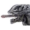Image 8 : ALIENS VS. PREDATOR: REQUIEM (2007) - Xenomorph Warrior Insert Head with Display Stand