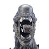Image 9 : ALIENS VS. PREDATOR: REQUIEM (2007) - Xenomorph Warrior Insert Head with Display Stand