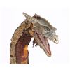 Image 15 : DRAGONSLAYER (1981) - Stop-motion Vermithrax Pejorative Flying Dragon Miniature Puppet