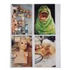 Image 6 : GHOSTBUSTERS (1984) - Photographic Slides, Polaroids, Negatives and Production Photographs Featuring