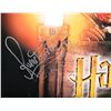 Image 3 : HARRY POTTER AND THE PHILOSOPHER'S STONE (2001) - Daniel Radliffe and Rupert Grint Autographed Poste