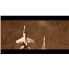 Image 15 : INDEPENDENCE DAY (1996) - Model Miniature F/A-18 Fighter Jet