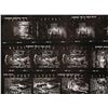 Image 8 : JAMES BOND: LIVE AND LET DIE (1973) - Pair of Contact Sheets Featuring Solitaire (Jane Seymour) and 