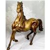 Image 1 : Fierce Beauty of the Untamed Stallion #1232867