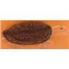 Image 1 : Adorable Vintage Lucite Turtle with Wood Shell #1233372