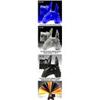 Image 1 : 6 CZECH GLASS ART DECO SCOTTIE NAPKIN HOLDERS #1243848