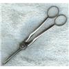 Image 1 : Silverplate.Grape Shears. #1250785