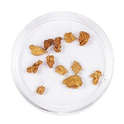 Lot of Gold Nuggets 2.52 Grams Total Weight