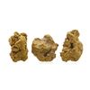 Image 2 : Lot of Gold Nuggets 2.56 Grams Total Weight