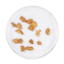Lot of Gold Nuggets 3.17 Grams Total Weight