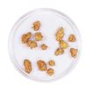 Image 2 : Lot of Gold Nuggets 3.96 Grams Total Weight