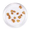 Image 1 : Lot of Gold Nuggets 2.58 Grams Total Weight