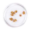 Image 2 : Lot of Gold Nuggets 2.44 Grams Total Weight