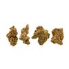 Image 1 : Lot of Gold Nuggets 3.61 Grams Total Weight